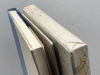 玉も鎮石: 山中智恵子歌集 砂子屋書房 山中 智恵子