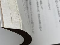 箱館五稜郭 (物語・日本の名城) 成美堂出版 星 亮一