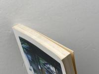 埋木舎 改訂版: 井伊直弼の青春 国指定特別史跡 高文堂出版社 大久保 治男