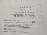 トランスフォーマティブ・カルチャー 勁草書房 川崎 賢一