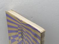 治癒神イエスの誕生 増補改訂版 (小学館創造選書 42) 小学館 山形 孝夫