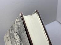 カリカチュアの歴史: 文学と美術に現れたユ-モアとグロテスク 新評論 トーマス ライト