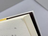 表象の傷: 第一次世界大戦からみるフランス文学史 (レクチャー第一次世界大戦を考える) 人文書院 久保 昭博