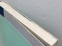 国家と儀礼 ー 国家統合の回路を撃つ（新地平叢書1） 新地平社 連続講座「国家と儀礼」運営委員会編