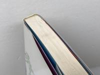 エロスを介して眺めた天皇は夢まぼろしの華である: 御落胤と偽天皇 社会評論社 玉川信明