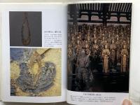 日本の時代史 (7) 院政の展開と内乱 吉川弘文館 元木 泰雄