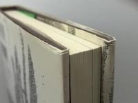 知の庭園: 19世紀パリの空間装置 筑摩書房 松浦 寿輝