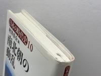 日本の時代史 (10) 南北朝の動乱 吉川弘文館 村井 章介