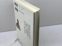日本の時代史 (10) 南北朝の動乱 吉川弘文館 村井 章介