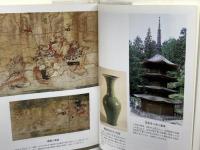 日本の時代史 (10) 南北朝の動乱 吉川弘文館 村井 章介