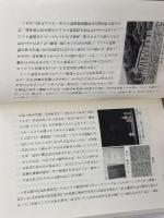 ペトロ岐部カスイ 教文館 五野井 隆史