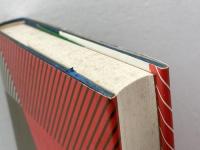 説得: エホバの証人と輸血拒否事件 現代書館 大泉 実成