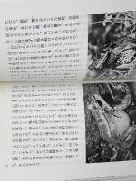 悪魔祓い (岩波文庫) (岩波文庫 赤 N 509-2) 岩波書店 ル・クレジオ