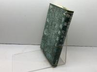 記号的世界と物象化 情況出版 丸山 圭三郎