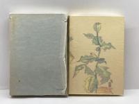 小泉三申全集 第1巻　織田信長　明智光秀 岩波書店 小泉 三申