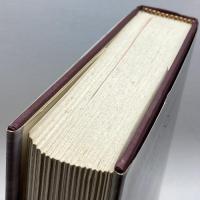 The New Testament and Psalms: An Inclusive Version Oxford Univ Pr Gold, Victor Roland