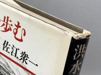 洪水を歩む―田中正造の現在 朝日新聞出版 佐江衆一