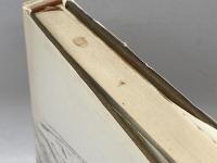 洪水を歩む―田中正造の現在 朝日新聞出版 佐江衆一