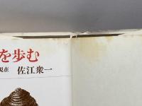 洪水を歩む―田中正造の現在 朝日新聞出版 佐江衆一