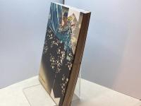 浮世绘大师笔下的英雄豪杰　電子工業出版社　（「浮世絵でみる！英雄豪傑図鑑」中右瑛　中国語版）