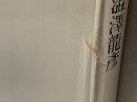 玩物草紙 (1979年) 朝日新聞社 澁澤 龍彦