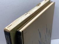 山のせいくらべ 山本安英が読む日本の民話 風濤社 木下順二