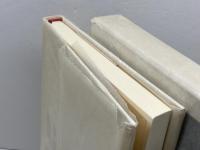 句集　詩人の耳　精選作家双書３　４ 本阿弥書店 柳生千枝子