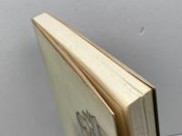 古代大和を掘る: 現場からの報告書 フジタ 藤崎 省三