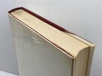 パリのダダ (1979年) 白水社 安堂 信也