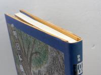 聖日本樹―歌集 ながらみ書房 佐古良男