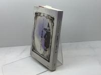 放蕩紳士 株式会社スプリング メアリ・デイヴィス　翻訳　渡辺孔二