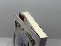 放蕩紳士 株式会社スプリング メアリ・デイヴィス　翻訳　渡辺孔二