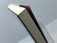 放蕩紳士 株式会社スプリング メアリ・デイヴィス　翻訳　渡辺孔二