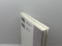 男と女の往復便 スプリング メアリ・デイヴィス　渡辺孔二訳