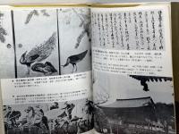 兵庫県の歴史 (1971年) (県史シリーズ〈28〉) 山川出版社 八木 哲浩