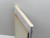 英語のライティングルールAtoZ 研究社 トム コペル