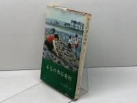 小もの水石愛好 (1966年) (愛石シリーズ〈3〉) 徳間書店 江口 正直