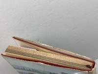 小もの水石愛好 (1966年) (愛石シリーズ〈3〉) 徳間書店 江口 正直