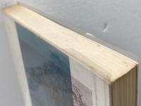 アブラハム (1973年) (教会のための創世記講解〈2〉)  ヴァルター・リュティ