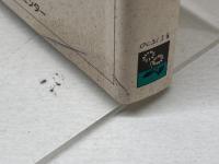 ふるさと再見: ひょうご紀行 (のじぎく文庫) 神戸新聞総合印刷 ニューひょうご編集室