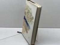 将棋童子 (1979年)　藤沢桓夫