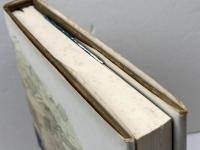 将棋童子 (1979年)　藤沢桓夫