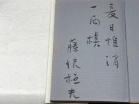 将棋童子 (1979年)　藤沢桓夫