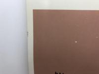 吉野郡下市町・黒滝村・天川村 200809 (ゼンリン住宅地図) ゼンリン