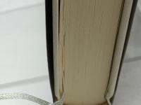 愛の情景: 出会いから別れまでを読み解く 中央公論新社 小倉 孝誠