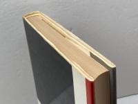 天皇の社会心理―社会調査にみる民衆の精神構造 (1983年) 彩流社 斎藤 哲雄