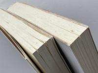 開かれた社会とその敵〈第1部・第2部〉 2冊セット(プラトンの呪文/予言の大潮) 未来社 カール・R.ポパー