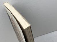 風景画の病跡学: メリヨンとパリの銅版画 (イメージ・リーディング叢書) 平凡社 気谷 誠