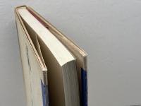 吉本隆明×芹沢俊介 対幻想 n個の性をめぐって 春秋社　