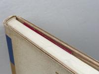 吉本隆明×芹沢俊介 対幻想 n個の性をめぐって 春秋社　